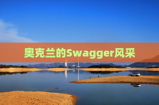 奥克兰的Swagger风采